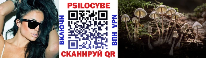 Псилоцибиновые грибы GOLDEN TEACHER  как найти наркотики  Майский 